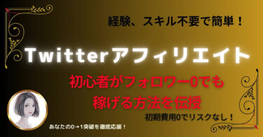 【3日間限定で100円】Twitterアフィリエイト 初心者がフォロワー0でも 稼げる方法を伝授